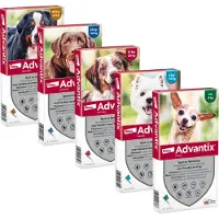 Advantix 100/500 - 4-10 kg - 4 Pipetas