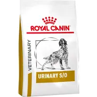 Royal Canin Urinary S/O Perro Combi Pack - 13 kg + 12 x 410 g