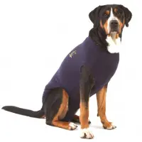 Medical Pet Shirt Perro - Azul XXL