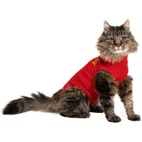 Medical Pet Shirt Gato - Rojo - S