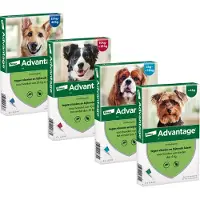 Advantage 40 Perro <4 kg - 4 x 0,4 ml
