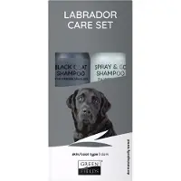 Greenfields Set De Cuidado De Pelo Negro Para Labrador 250ml 2 Unidades