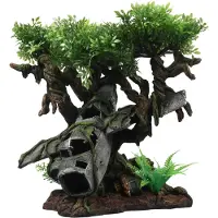Terra Della Árbol de naufragio de avión
