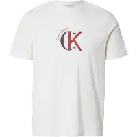Calvin Klein Jeans Camiseta rojo / negro / blanco