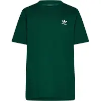 Adidas adidasCamiseta 158 Collegiate Green Niño