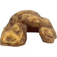Exo Terra Cueva para Reptiles - M