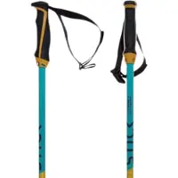 Völkl Bastones Junior Phantastick