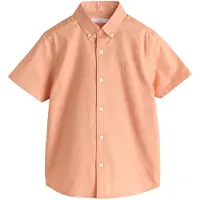 Next Camisa albaricique