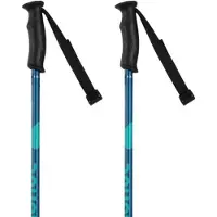 Rossignol Bastones Para Mujer Electra