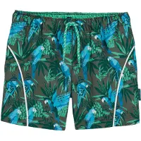 We fashion Bermudas azul / marrón / verde / blanco