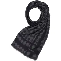 Emporio Armani Chal 'Emporio' gris