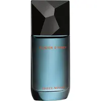 Issey Miyake Fusión de Issey EDT 100ml