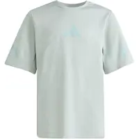 Adidas adidasCamiseta Z.N.E. 128 Wonder Sage / Tactile Green Niño