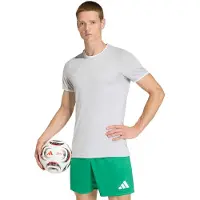 Adidas Camiseta funcional 'Entrada26' gris claro / blanco