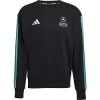 Adidas Camiseta deportiva 'Mercedes - AMG Petronas Formula 1 Team DNA' turquesa / negro / blanco