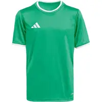 Adidas adidasCamiseta Entrada26 104 Team Green / White Niño