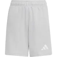 Adidas adidasPantalón corto de deporte Entrada26 176 Team Light Grey / White Niño