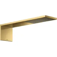 Hansgrohe AXOR 12592990: Módulo de ducha superior, modelo 110/220