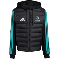 Adidas adidasCHAQUETA MERCEDES - AMG PETRONAS FORMULA 1 TEAM DNA PUFFER L Black / Semi Mint Rush Hombre