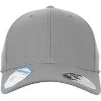 Flexfit Gorra gris