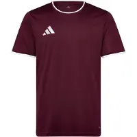 Adidas Camiseta funcional 'Entrada26' borgoña / blanco