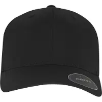 Flexfit Gorra negro