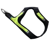 Axaeco Arnés Para Perros X-run