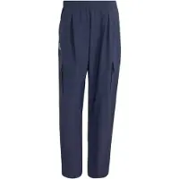 Adidas Pantalón de montaña 'Xploric' marino