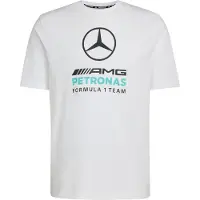 Adidas adidasCAMISETA ESTAMPADA MERCEDES - AMG PETRONAS FORMULA 1 TEAM DNA XS White / Semi Mint Rush Hombre