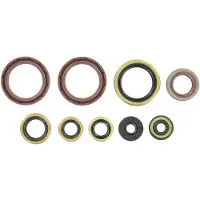 Holeshot Kit De Retenes De Aceite Ktm 2008-2011 450 Exc-f