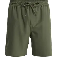 Quiksilver - Taxer Amphibian 18 - Pantalones cortos size S, oliva