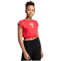 Adidas Camiseta De Manga Corta Seasonals Collegiate Typography