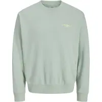 JJ REBEL Sudadera 'JREBHAYDEN' gris claro / manzana / blanco