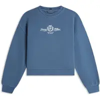 Tommy Hilfiger Sudadera zafiro / blanco