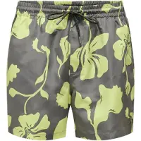 Only & Sons Bermudas 'Ted Life' gris oscuro / manzana