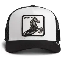 GOORIN BROS. Gorra 'Gorra goorin bros negra/blanca caballo stallion 6' negro