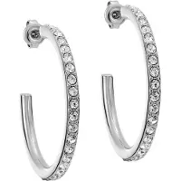 Ted Baker Pendientes 'CLANCI' plata / transparente