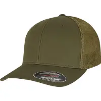 Flexfit Gorra gris / verde
