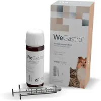 Wepharm WeGastro - 60 ml