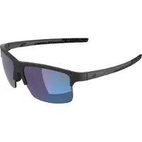 Alpina - Eagle Q-Lite Mirror S2 - Gafas de sol gris