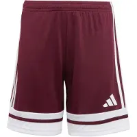 Adidas Pantalones Cortos Squadra 25