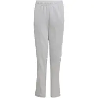 Adidas Pantalón deportivo 'Squadra 25' gris claro / blanco