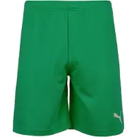 Puma Pantalón deportivo 'TeamRise' verde / blanco