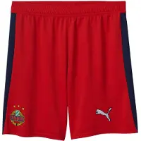 Puma Pantalón deportivo 'SK Rapid Wien 2025/2026' marino / verde claro / rojo / blanco
