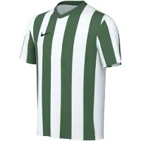 Nike Camiseta funcional 'Division V' jade / blanco
