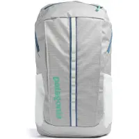 Patagonia - Black Hole Pack 25L - Daypack gris