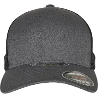 Flexfit Gorra gris oscuro / negro