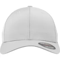 Flexfit Gorra plata