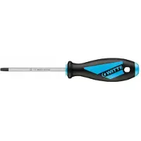 Witte Destornillador Torx Maxx 45x130