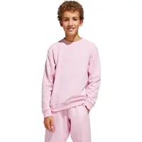 Adidas adidasSudadera cuello redondo All SZN Graphic (Adolescentes) 152 True Pink / True Pink Niño